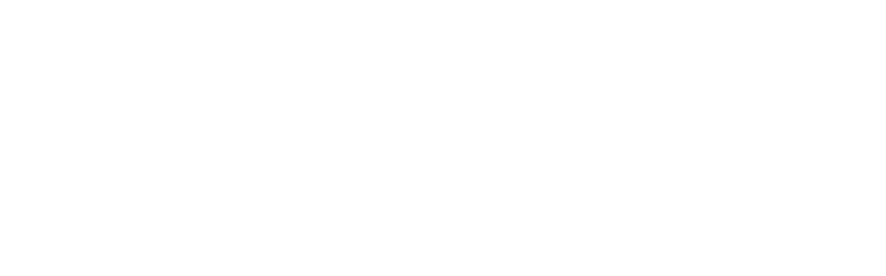 Souly Sister Logo